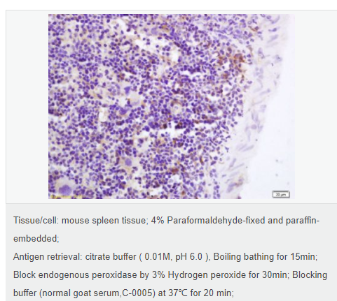 6078e834763a4.png image.png